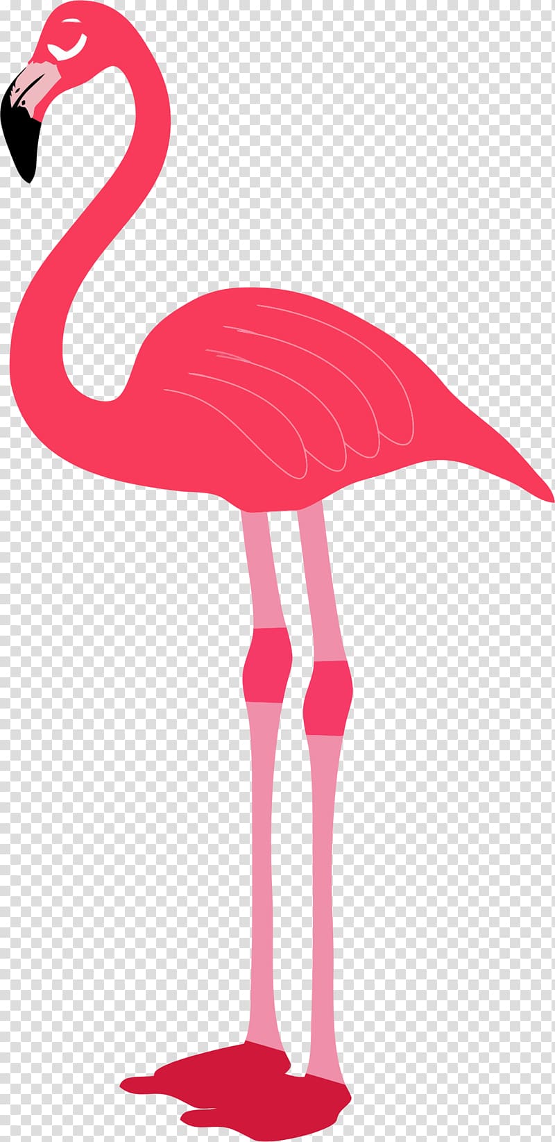 pink flamingo bird illustration, Flamingos Computer file, Flamingo transparent background PNG clipart