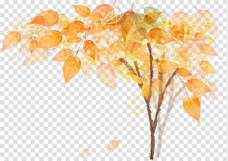 Cartoon Autumn Drawing, Cartoon painted autumn leaves transparent background PNG clipart