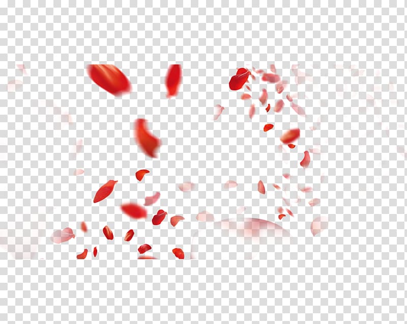 Petal Beach rose, flowers transparent background PNG clipart