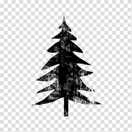 Spruce Fir Computer Icons Tree Symbol, tree transparent background PNG clipart