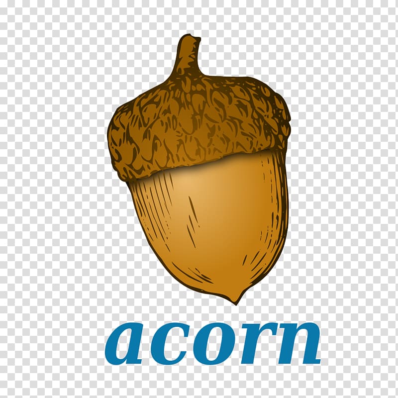 Acorn , acorn squash transparent background PNG clipart