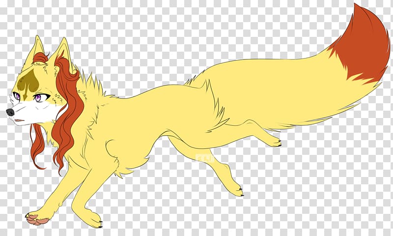 Whiskers Red fox Dog Cat, Dog transparent background PNG clipart