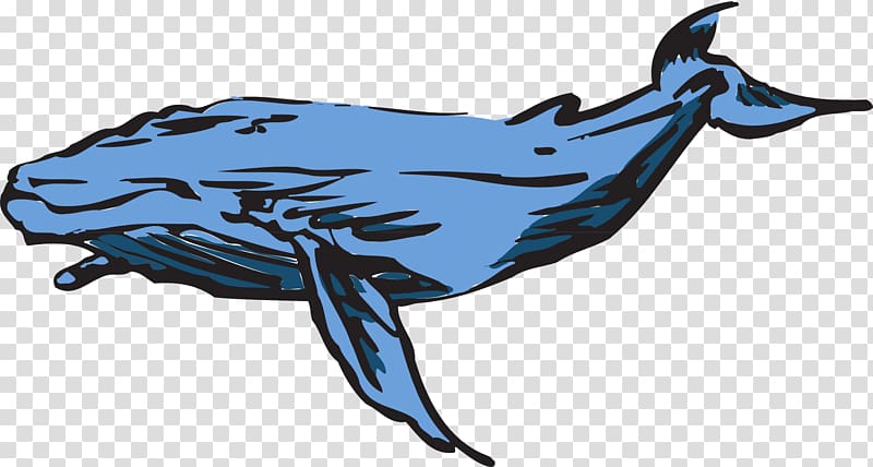 Blue Whale , whale transparent background PNG clipart