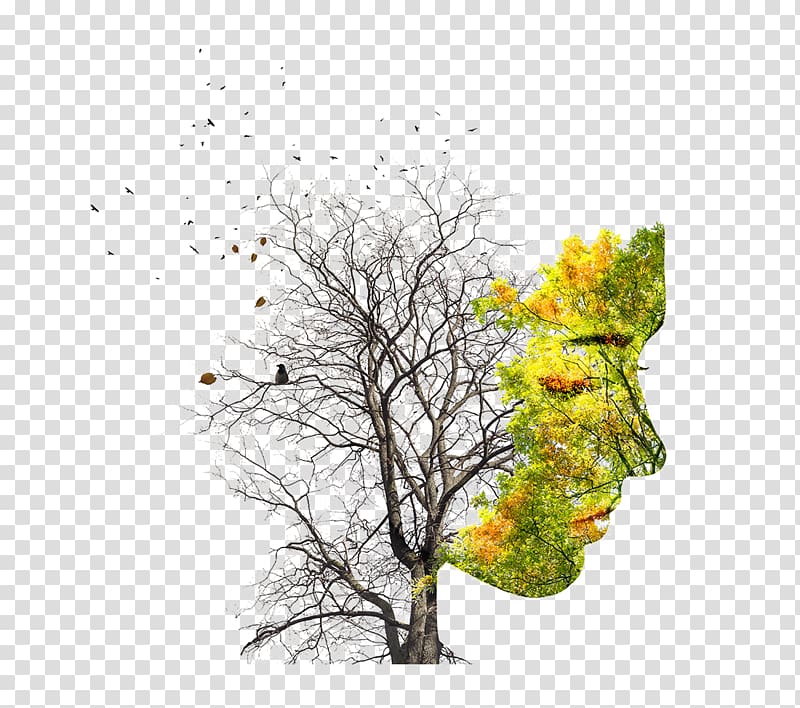 women creative silhouette dead trees and greenery composition transparent background PNG clipart