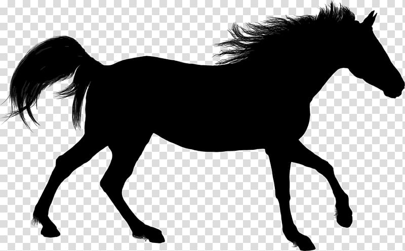 Arabian horse American Paint Horse Silhouette Stallion , animal silhouettes transparent background PNG clipart