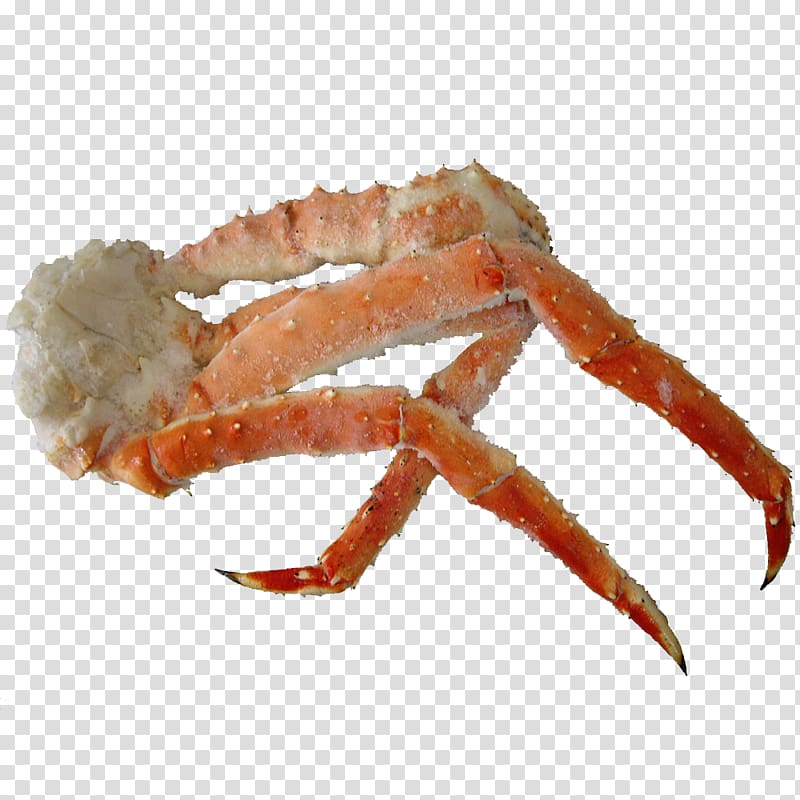 Dungeness crab Red king crab Food, crab transparent background PNG clipart