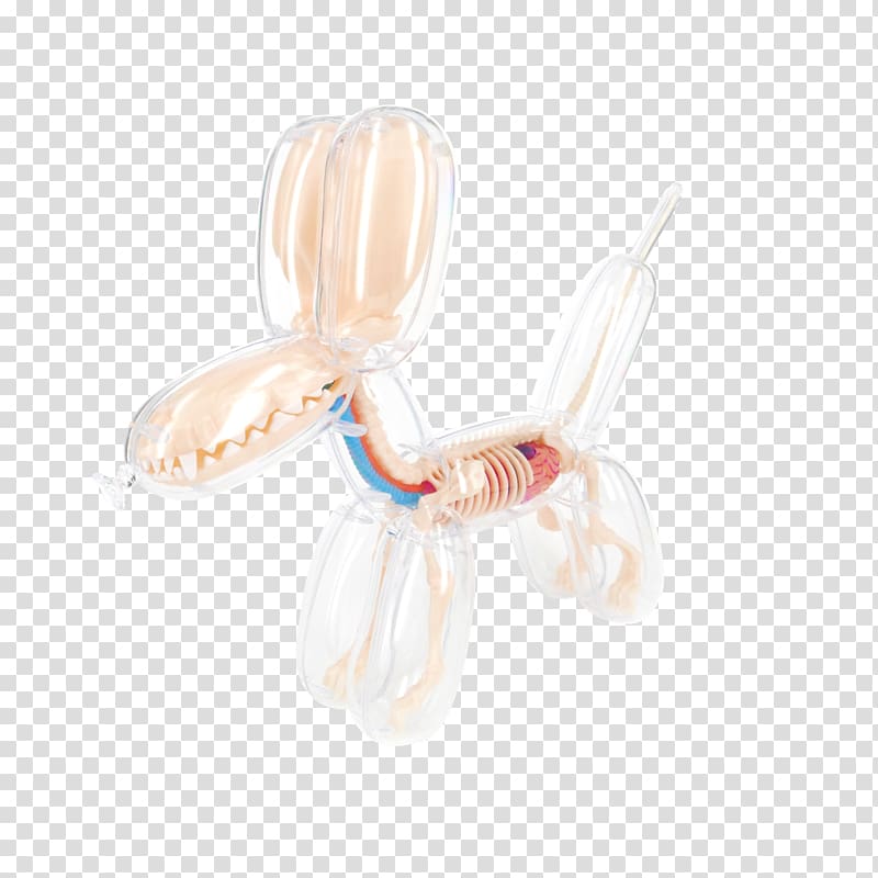 Balloon Dog Dog anatomy Skull, balloon dog transparent background PNG