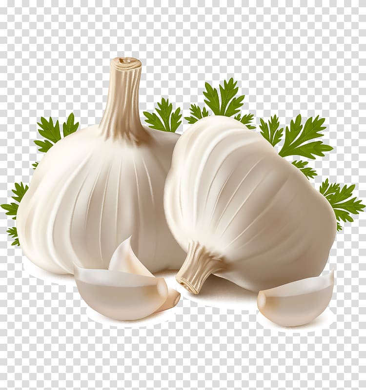 garlic bulb , Garlic bread Garlic oil , Garlic clove transparent background PNG clipart