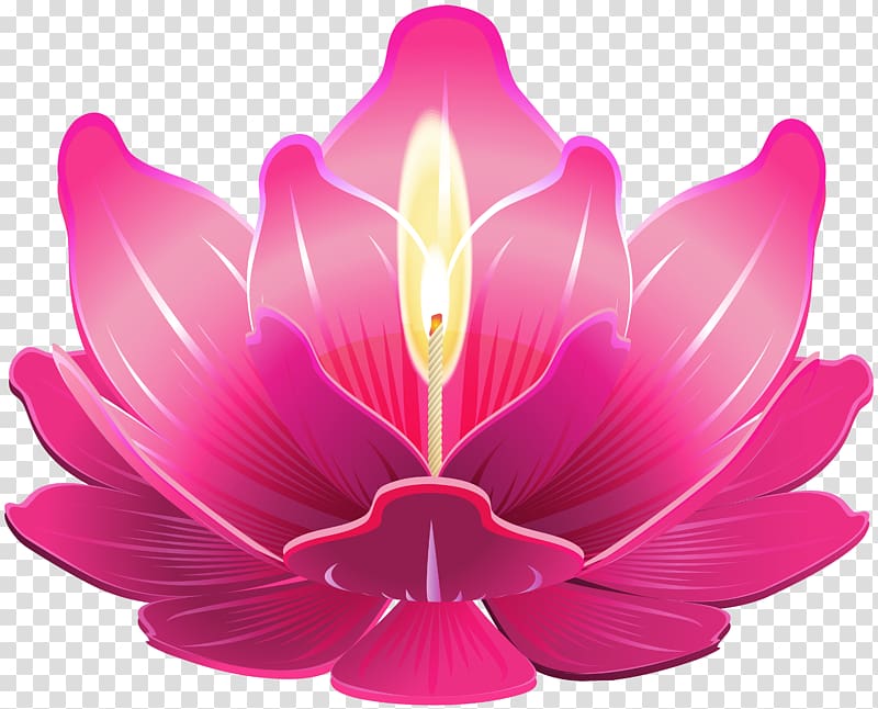 pink lotus flower candle , Diwali Ganesha , Lotus with Candle transparent background PNG clipart