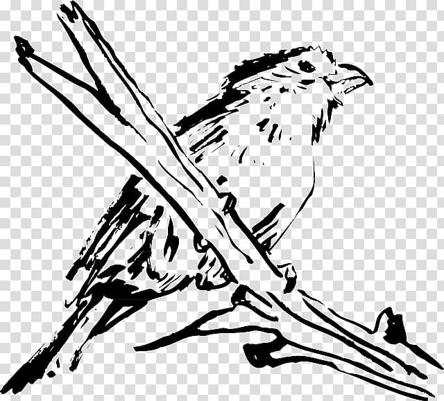 Bird Beak Feather Wing, Bird transparent background PNG clipart