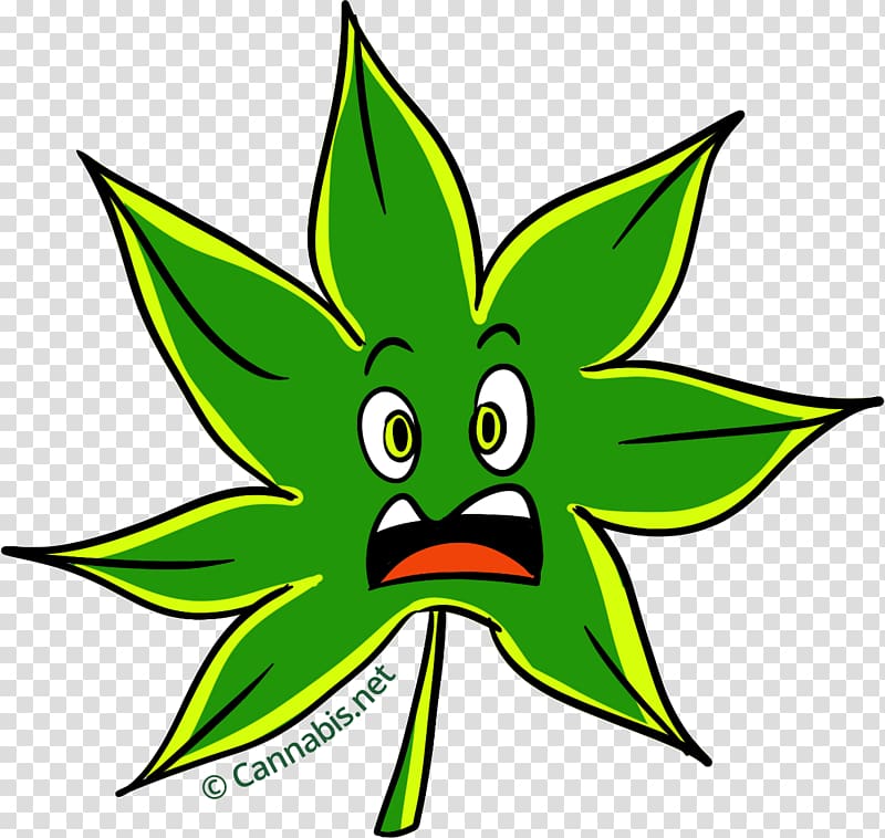 Sour Diesel New York City Diesel Cannabis Marijuana Leaf, cannabis transparent background PNG clipart