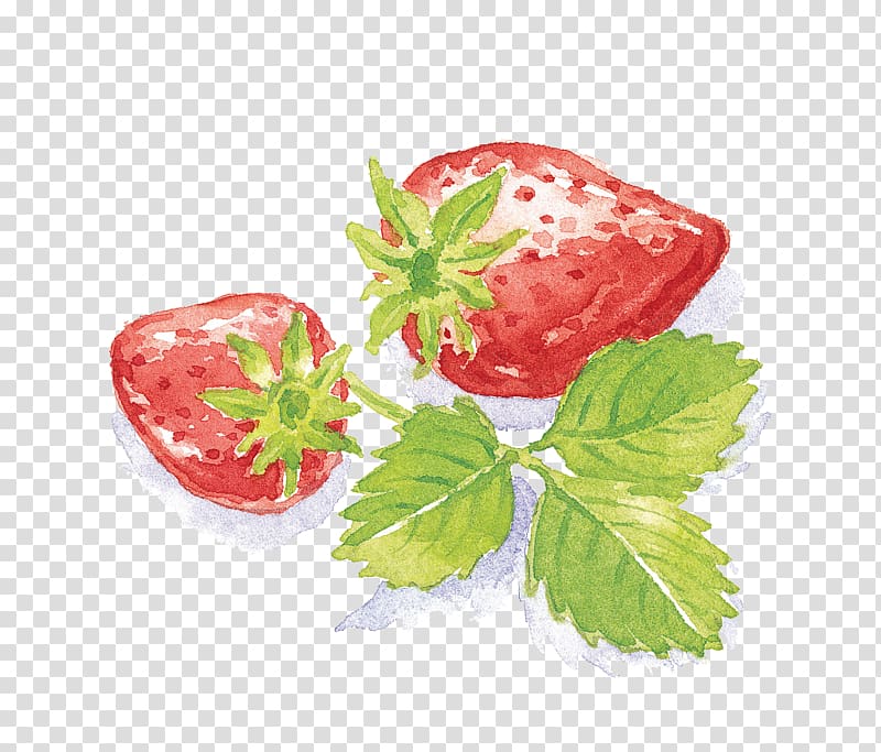 watercolor hand-painted strawberry transparent background PNG clipart