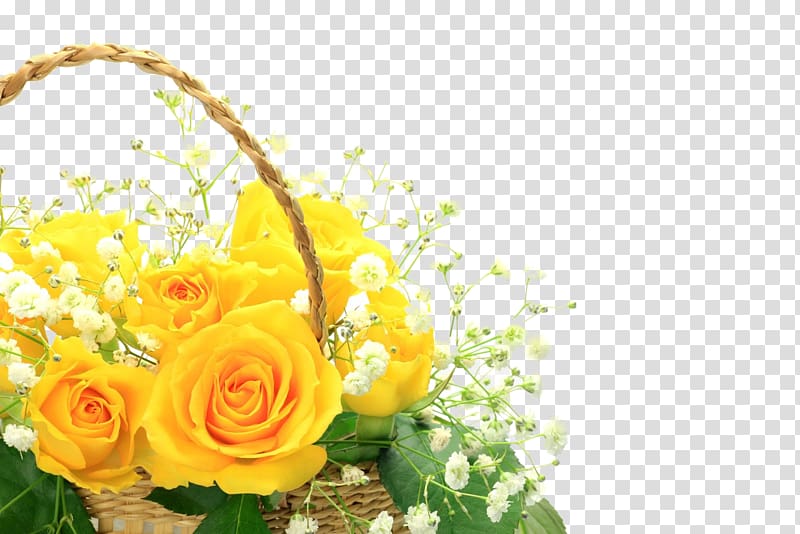 Garden roses Mother's Day, Flores amarillas transparent background PNG clipart