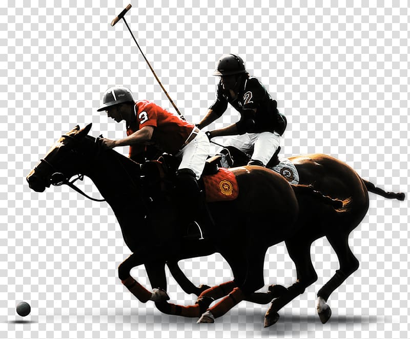 Polo Horse Equestrian Bridle Rein, Polo transparent background PNG clipart