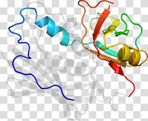 Line Point Organism , line transparent background PNG clipart thumbnail