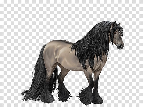 Gypsy horse Mane Mustang Stallion Pony, Gypsy Horse transparent background PNG clipart