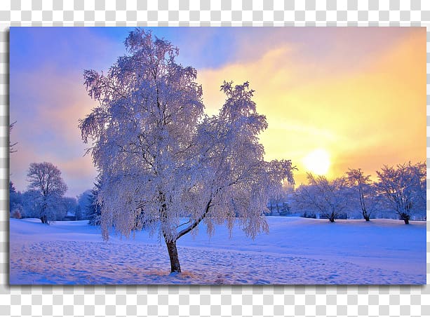 Landscape Winter Desktop Snow Nature, winter transparent background PNG clipart