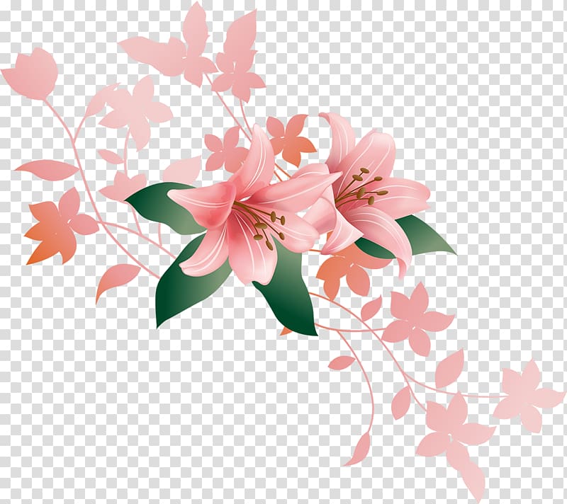 Lilium, callalily transparent background PNG clipart