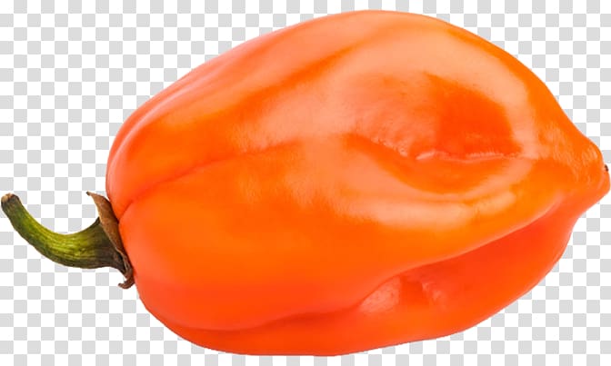 Habanero Chili pepper Bell pepper Capsicum, habanero chili scoville transparent background PNG clipart