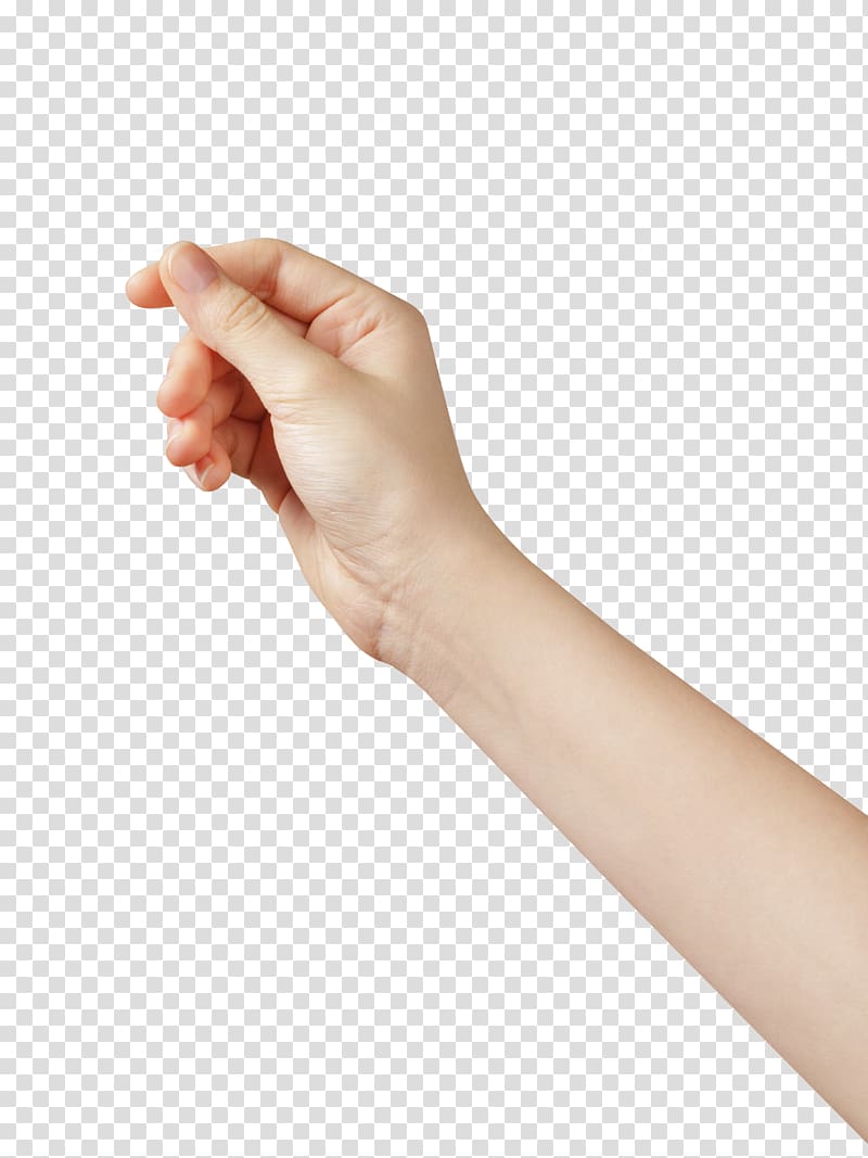 Hand, hand transparent background PNG clipart