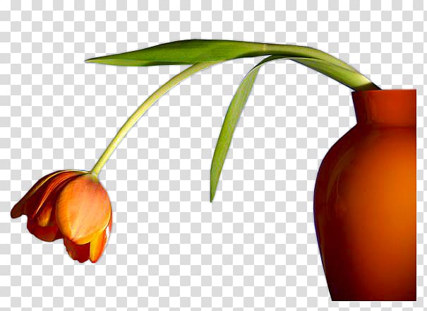 Flower Vase, Flowers Tulips transparent background PNG clipart