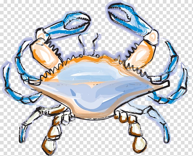 Maryland Chesapeake Bay Crab Lobster Seafood, Crab renderings transparent background PNG clipart
