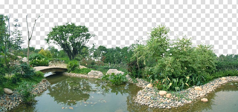 lake surrounded by green plants, Pond Garden Landscape architecture, Landscape design small lake transparent background PNG clipart