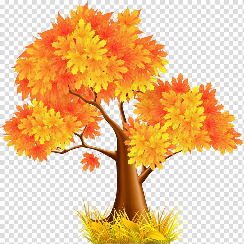 Autumn , golden leaves transparent background PNG clipart