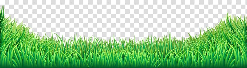 Lawn Grass Green Grass Transparent Background Png Clipart Hiclipart