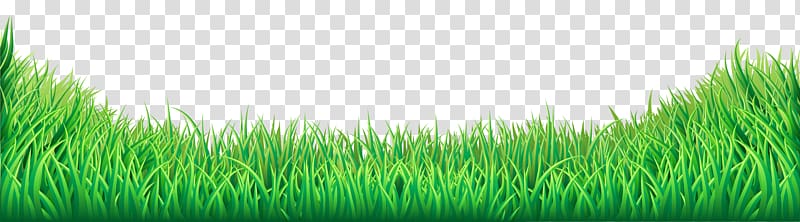 green grass clipart png