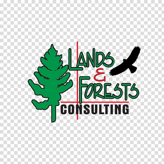 Tree Logo Forestry Forest management, tree transparent background PNG clipart