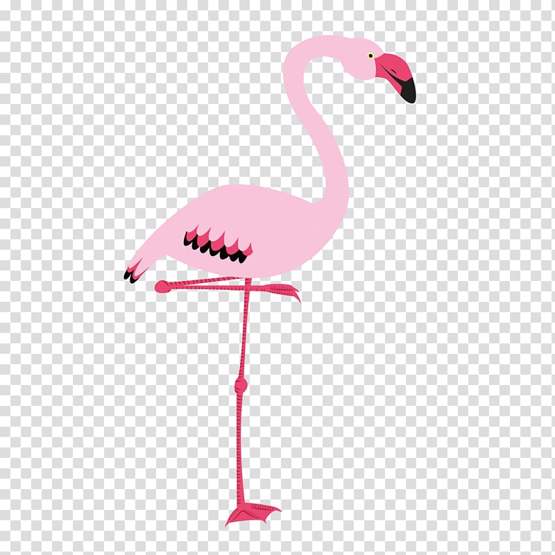 flamingo , Flamingo Bird Cygnini, Pink flamingos pattern free transparent background PNG clipart