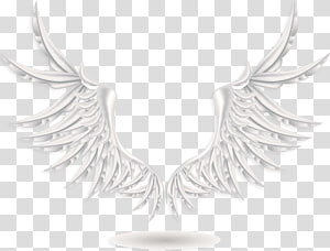 Pair of white wings , Cherub Wing Angel, Angel wings transparent ...