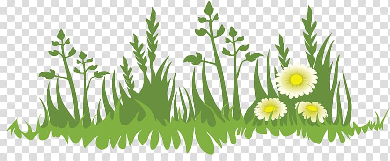 Cartoon, chamomile transparent background PNG clipart