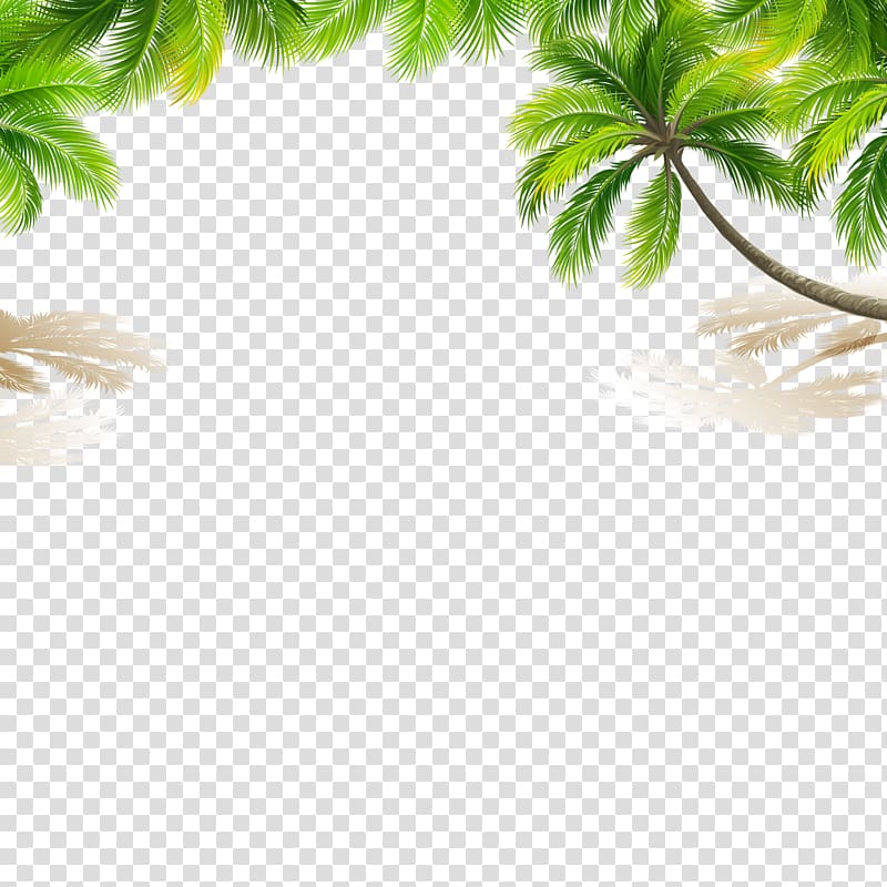 Color Lip balm, coconut tree transparent background PNG clipart