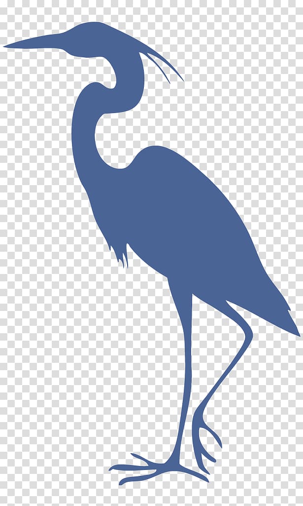 Great blue heron Grey heron Bird Cleaning, billboard background transparent background PNG clipart