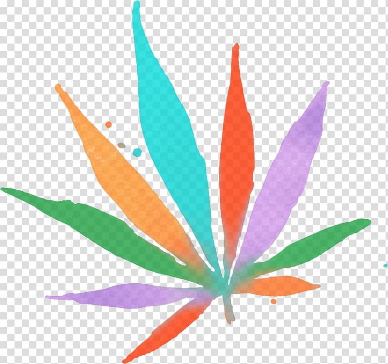 Legality of cannabis Recreational drug use Legalization Non-profit organisation, cannabis transparent background PNG clipart