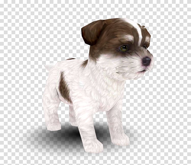 Dog breed Puppy Nintendogs + Cats Maltese dog Companion dog, puppy transparent background PNG clipart