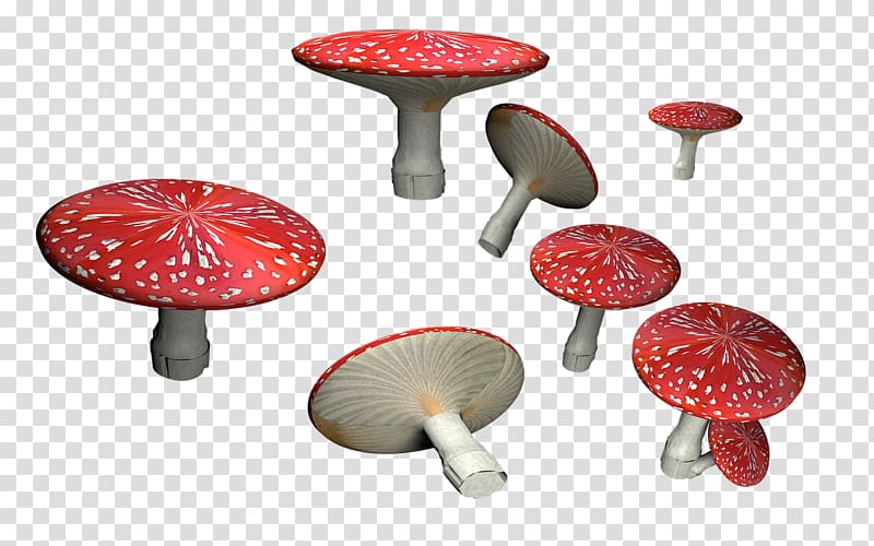 Amanita muscaria Mushroom file formats, mushroom transparent background PNG clipart