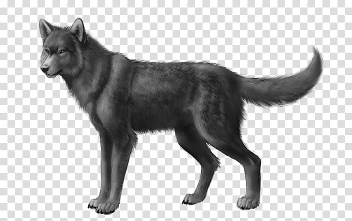 Wolfdog Black wolf African wild dog Northern Rocky Mountain wolf, Dog transparent background PNG clipart