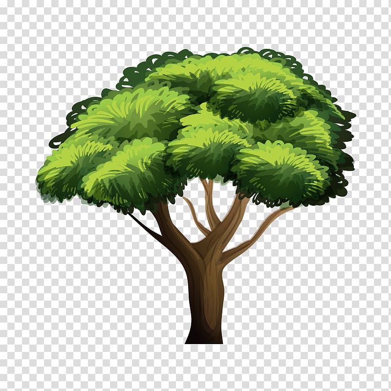 Tree Illustration, tree,Trees transparent background PNG clipart