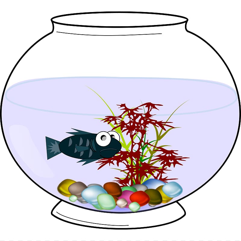 Goldfish Bowl , Fish Bowl transparent background PNG clipart