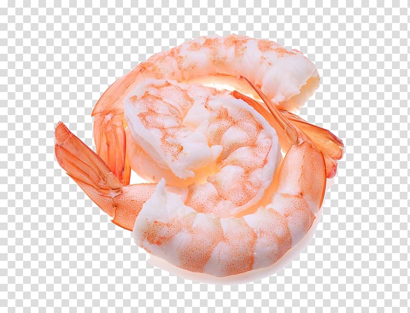 Caridea Orange Shrimp, Shrimp transparent background PNG clipart