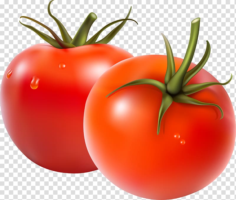Fruit salad Vegetable Tomato, Fresh tomato transparent background PNG clipart