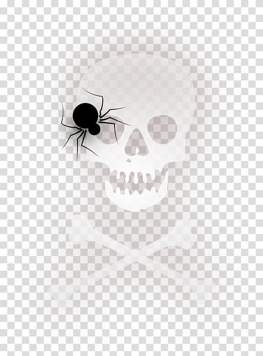 Spider Halloween , material Halloween spider transparent background PNG clipart