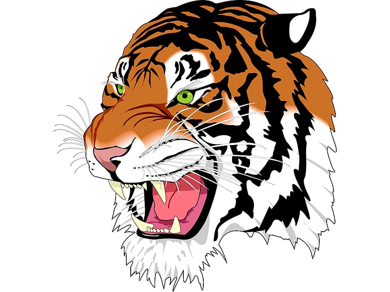 Tiger transparent background PNG clipart