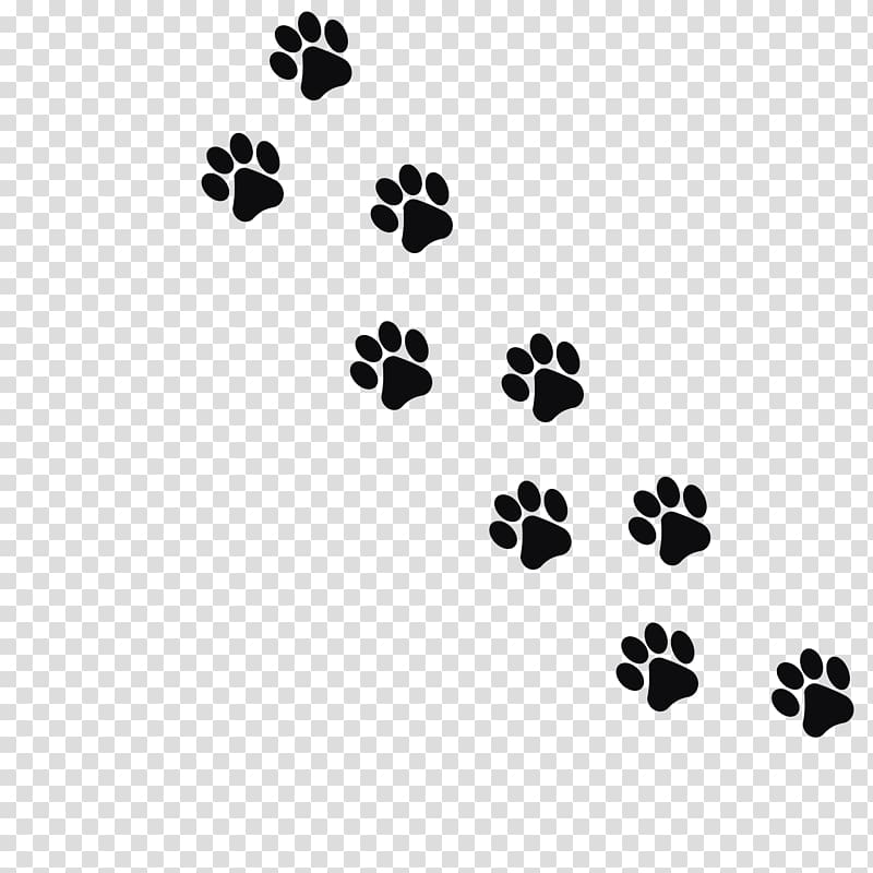 Dog paw prints illustration, Cat Dog Kitten Footprint Paw, Black animal ...
