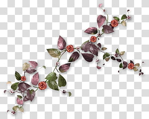 Jewellery transparent background PNG clipart thumbnail