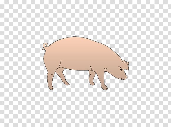 Pig Animal Game Bingo card Mammal, prostate gland transparent background PNG clipart