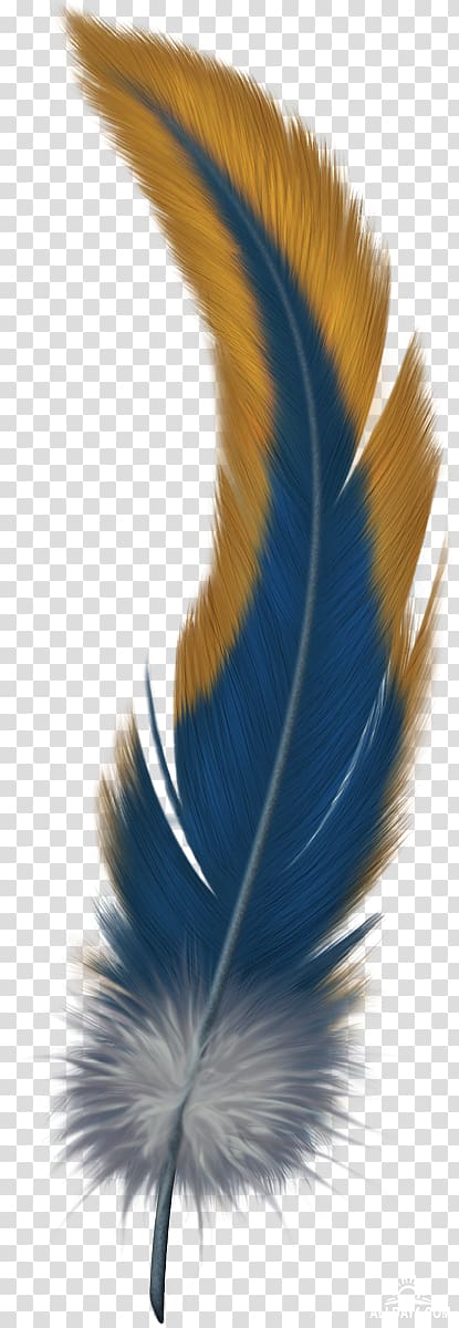 Feather Bird , feather transparent background PNG clipart